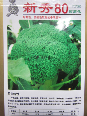 新秀80