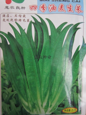 油麦菜